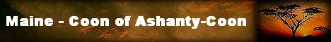 Ashanty-Coon2a