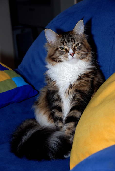DSC_00120304DSC_0012