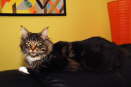 DSC_05982255DSC_0598