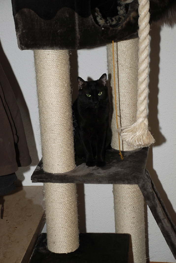 DSC_77232623